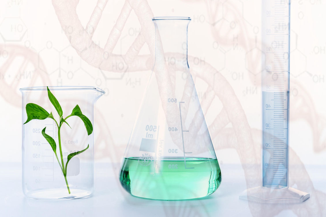 Esta imagen representa la combinación de la ciencia y la naturaleza en la formulación de productos cosméticos. La presencia de tubos de ensayo, un matraz con líquido y una planta en un recipiente de laboratorio sugiere innovación y desarrollo en el ámbito de la cosmética natural. La superposición de estructuras de ADN y fórmulas químicas refuerza la idea de productos basados en investigaciones avanzadas, ideales para transmitir credibilidad en la industria de la belleza y el cuidado de la piel.